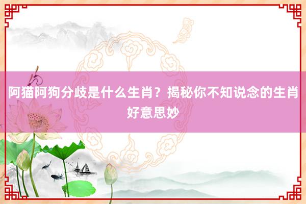阿猫阿狗分歧是什么生肖？揭秘你不知说念的生肖好意思妙